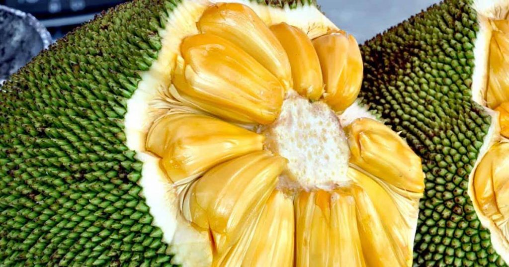 cara membuat keripik buah nangka