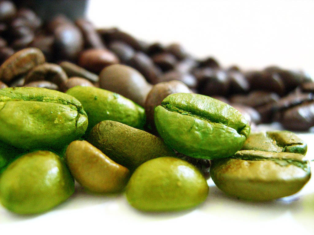 cara membuat kopi hijau