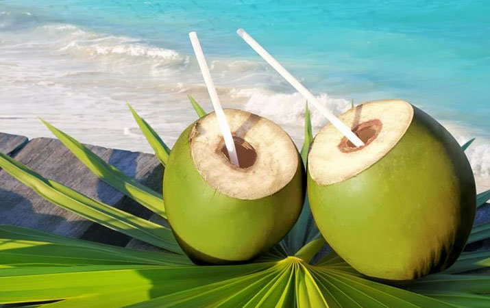 Manfaat daging kelapa muda