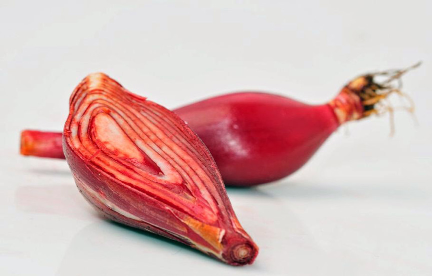 cara mengolah bawang dayak untuk asam urat