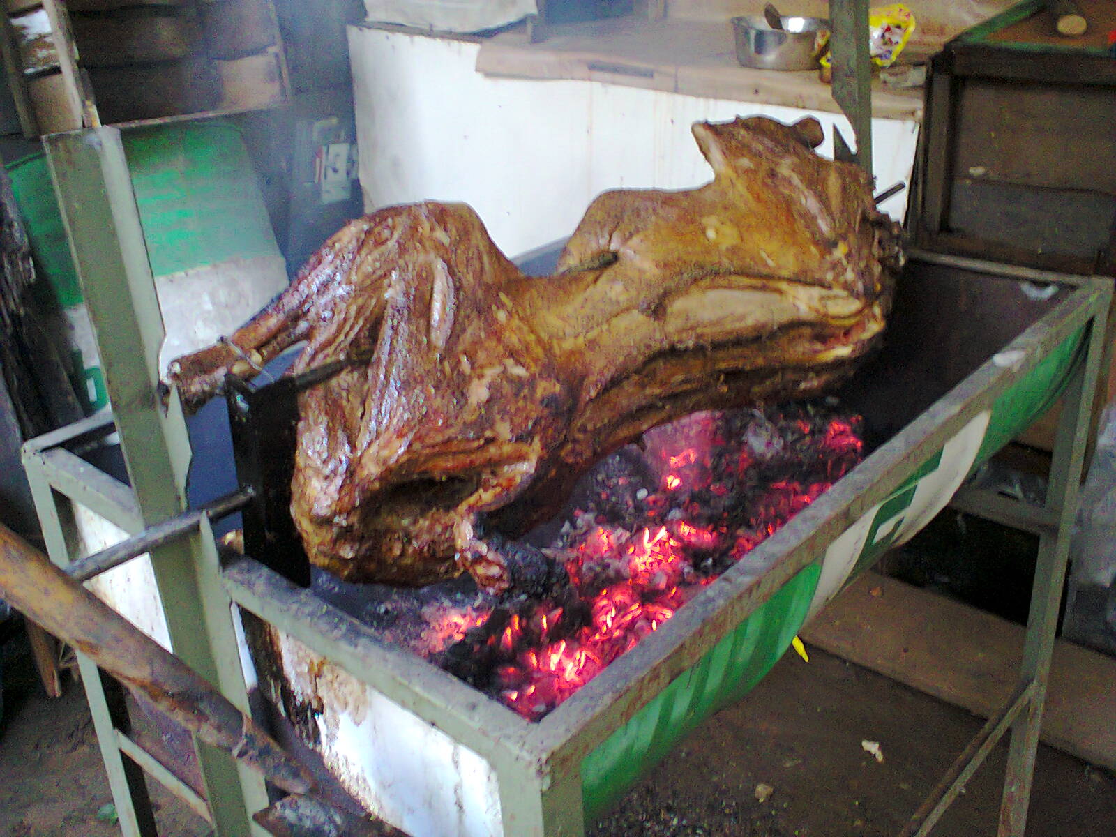 kambing guling rumahan