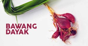 efek samping bawang dayak