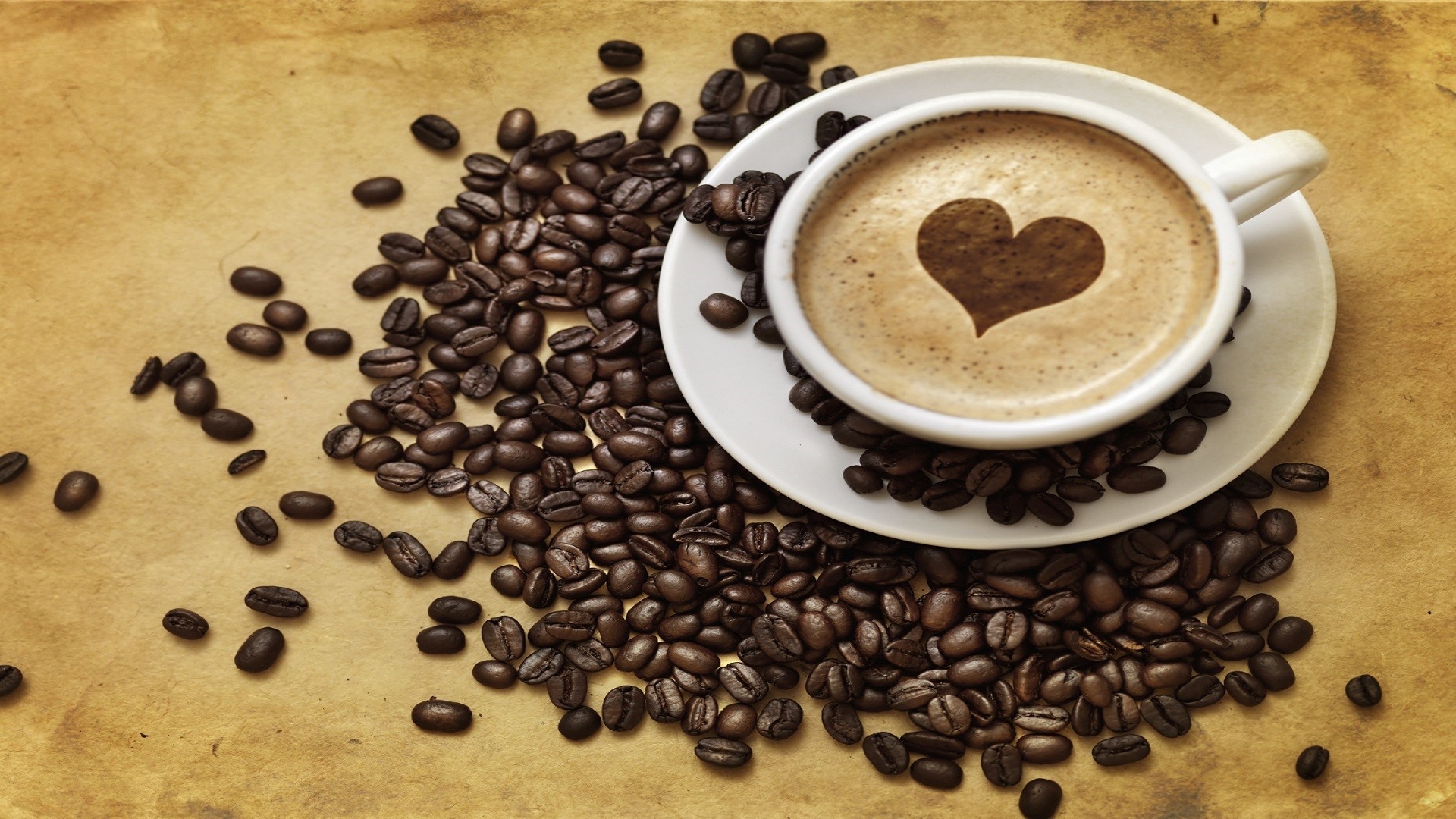 usaha kopi bubuk