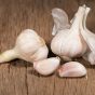 khasiat bawang putih kukus