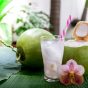 Resep Es Kelapa Muda Spesial