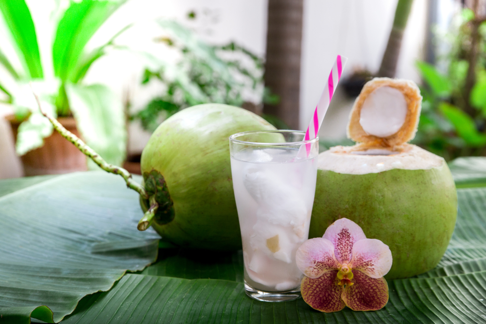 Resep Es Kelapa Muda Spesial