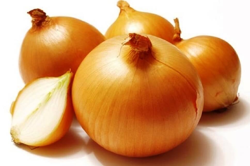 cara memotong bawang bombay