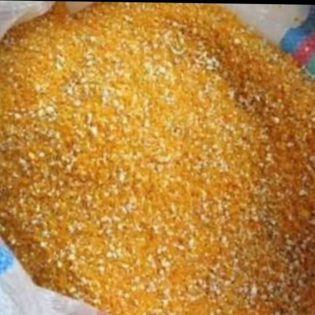 jagung pakan ternak