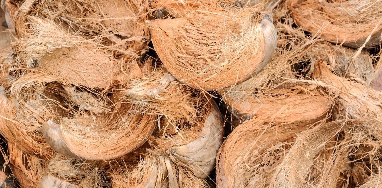 mengolah sabut kelapa