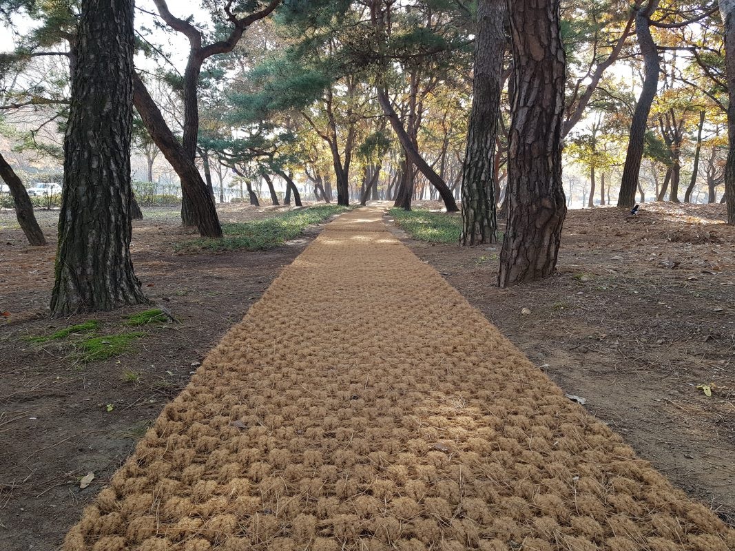 coir geotextiles in roads