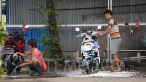 usaha yang menghasilkan uang setiap hari