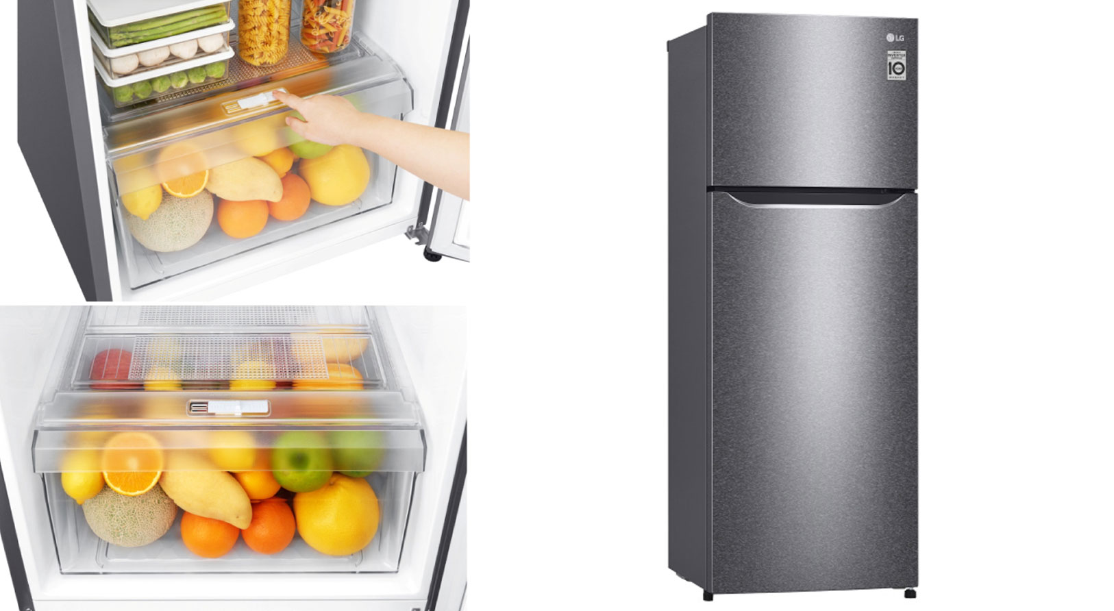 freezer buah