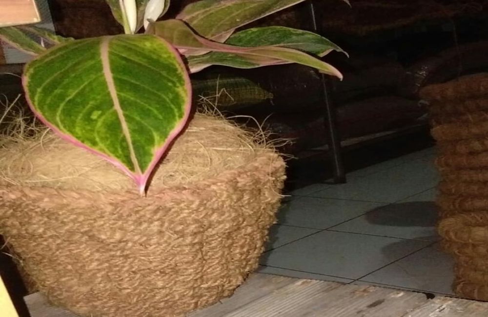 vas bunga sabut kelapa