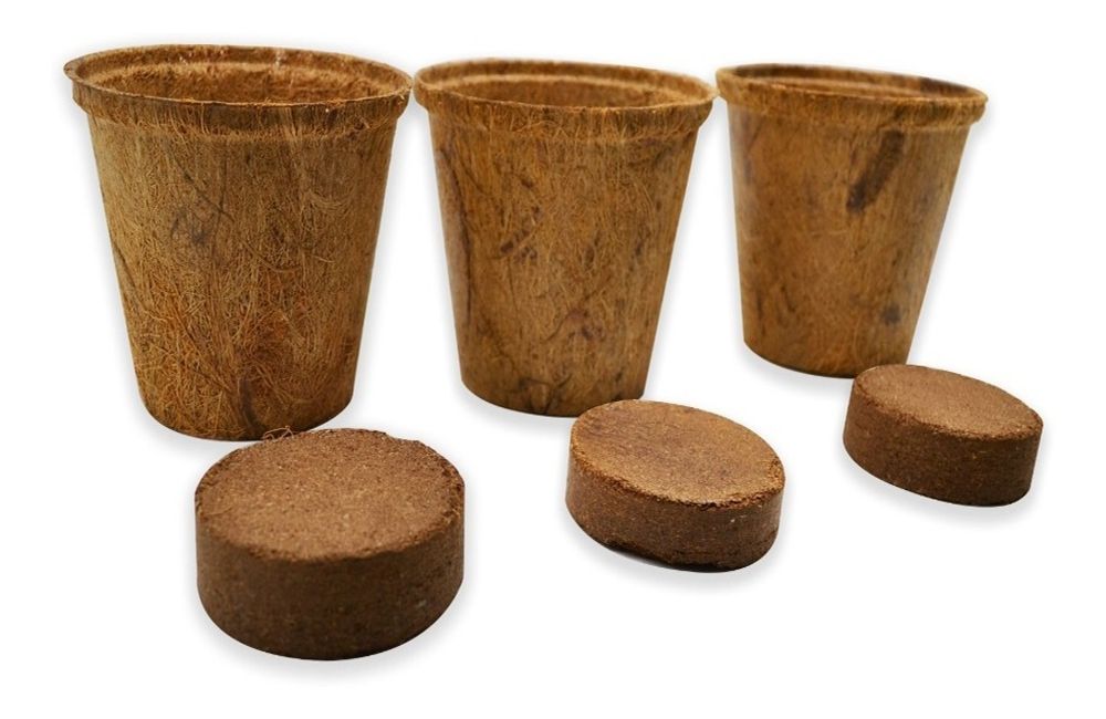 cocopot