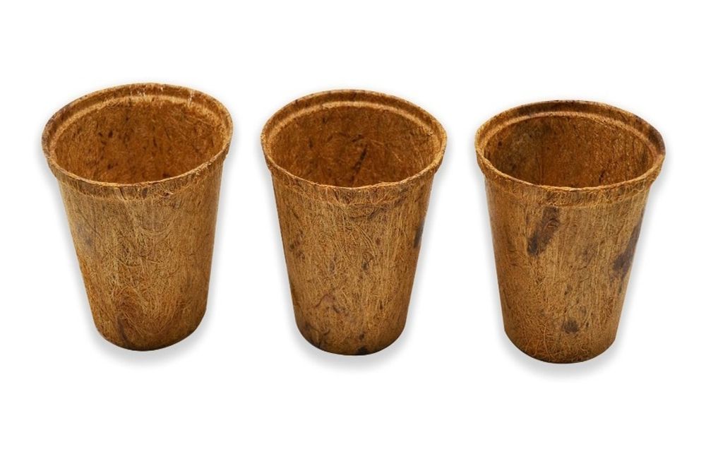cocopot
