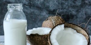 kegunaan santan kelapa