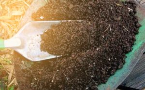 bahan karbon untuk pupuk kompos