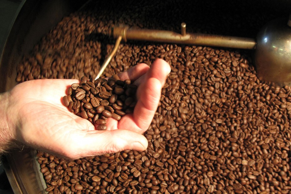 cara sangrai kopi robusta