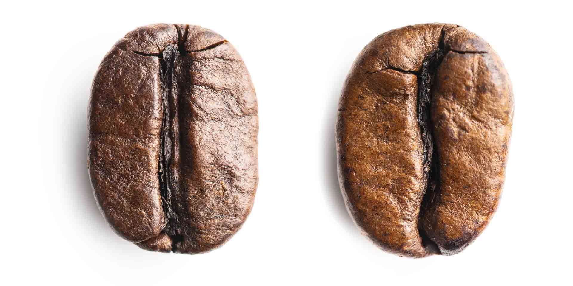Keunikan Biji Arabika dan Keberanian Biji Robusta