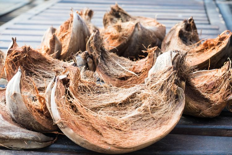 Kegunaan Luar Biasa dari Sabut Kelapa yang Perlu Anda Ketahui