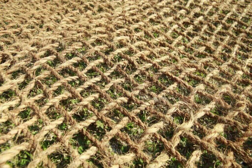 Bisnis Sosial Berbasis Produksi Cocomesh Ramah Alam