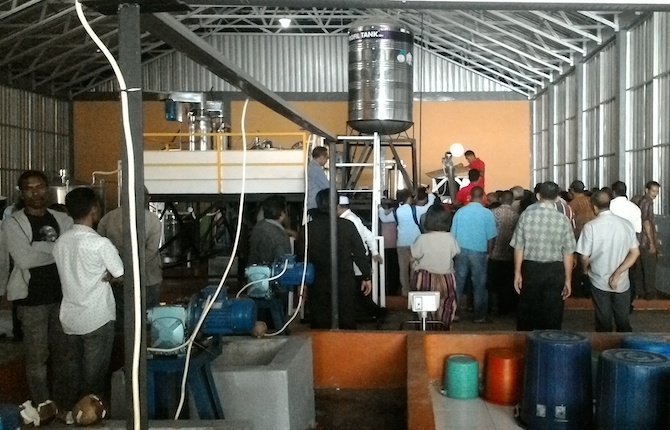 Industri Minyak Kelapa di Indonesia dari Bahan Alami hingga Nilai Ekonomi